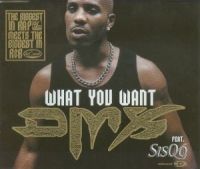 DMX ft. featuring Sisqó What You Want cover artwork