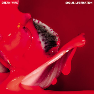 Dream Wife Hot (Don&#039;t Date a Musician) cover artwork