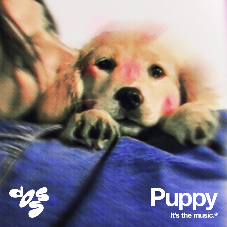 Doss Puppy cover artwork
