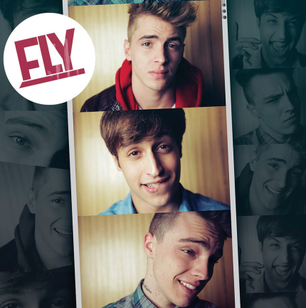 Fly — Você Se Foi cover artwork