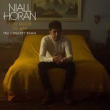 Niall Horan Too Much To Ask (TRU Concept Remix) cover artwork
