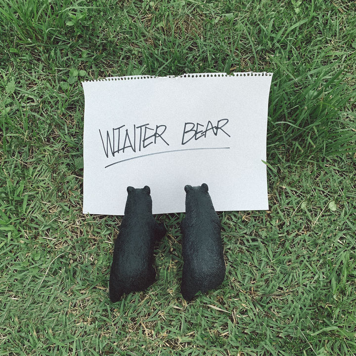 V Winter Bear cover artwork