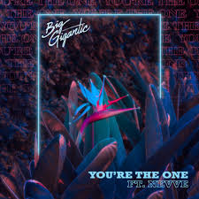 Big Gigantic featuring Nevve — You&#039;re The One cover artwork