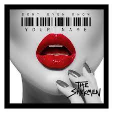 The Stickmen Project — Don&#039;t Even Know your Name cover artwork