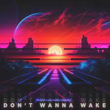 Kid Travis — Don&#039;t Wanna Wake cover artwork