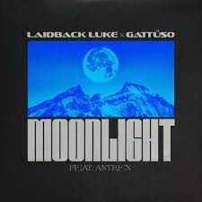 Laidback Luke featuring GATÜSSO — Moonlight cover artwork