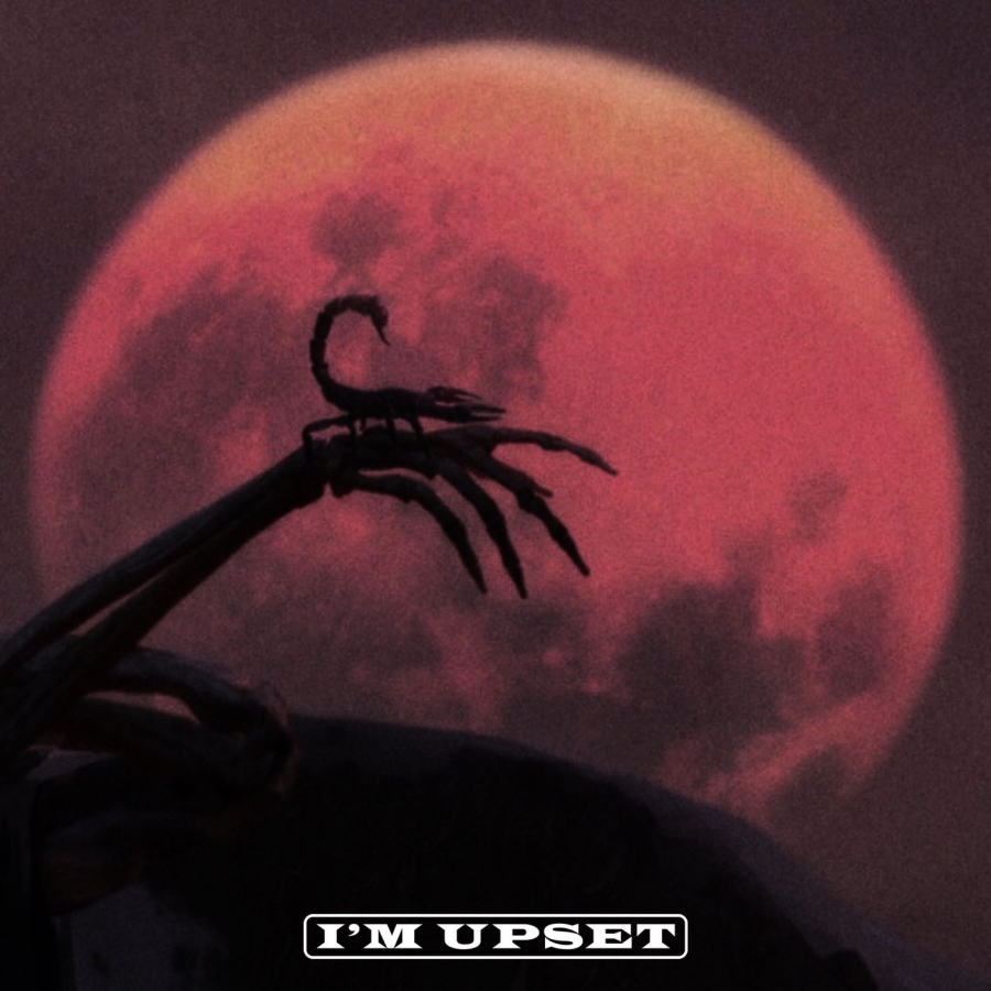 Drake I&#039;m Upset cover artwork