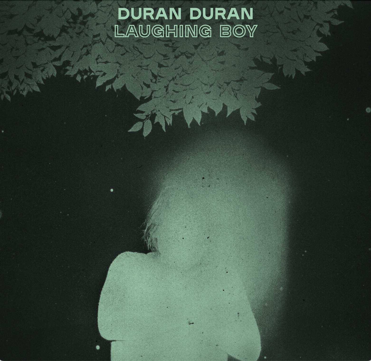 Duran Duran Laughing Boy cover artwork