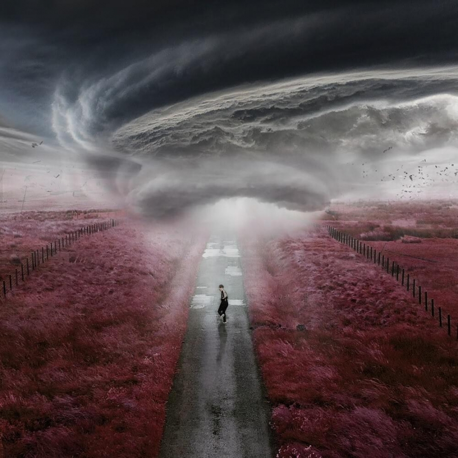 Dylan Fraser The Storm cover artwork
