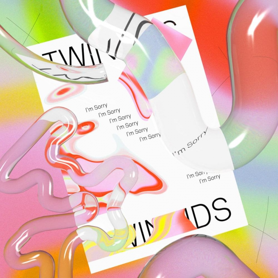 TWINKIDS — I&#039;m Sorry cover artwork