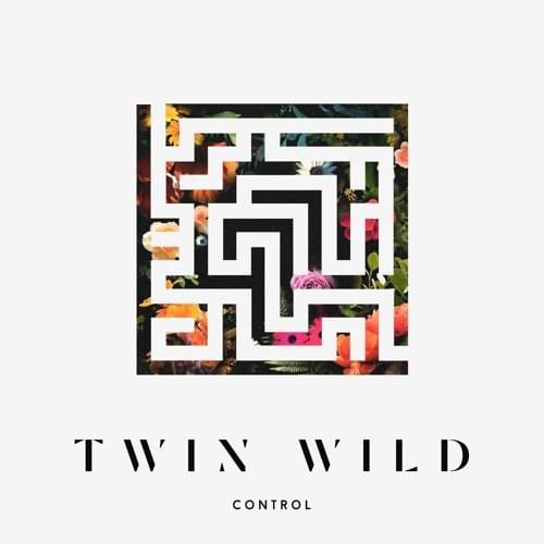 Twin Wild Control cover artwork