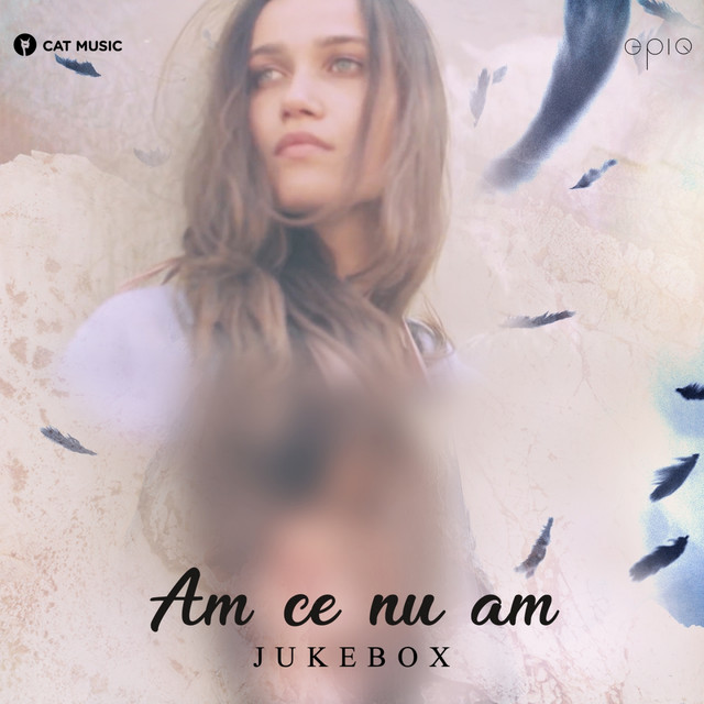 Jukebox — Am Ce Nu Am cover artwork