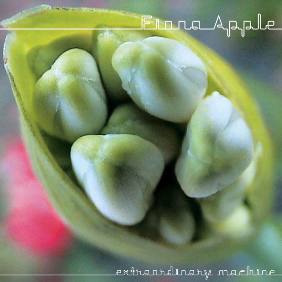 Fiona Apple Extraordinary Machine cover artwork