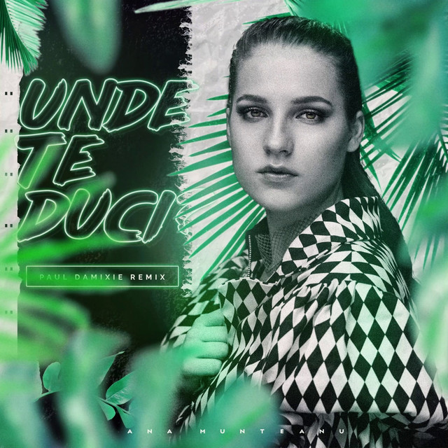 Ana Munteanu — Unde Te Duci? (Paul Damixie Remix) cover artwork