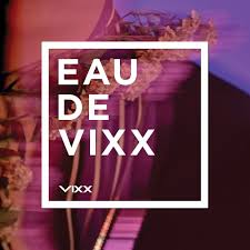 VIXX — Navy &amp; Shining Gold cover artwork