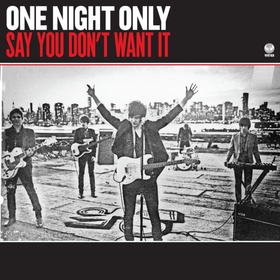 One Night Only — Say You Don&#039;t Want It cover artwork