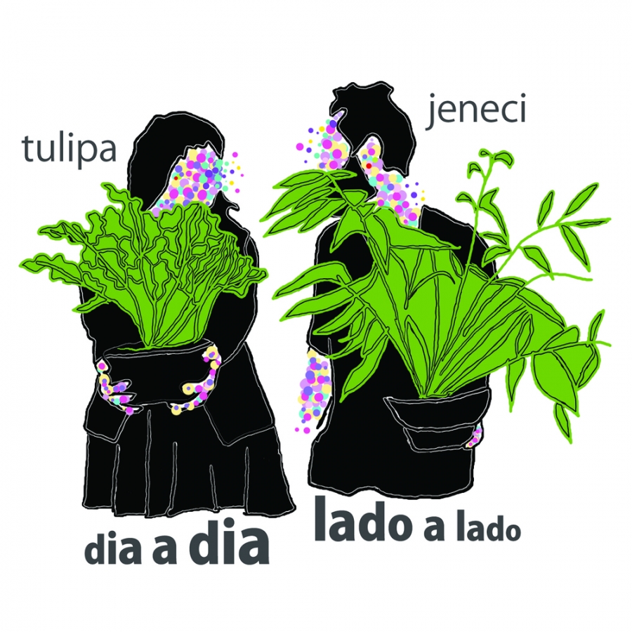 Tulipa Ruiz & Marcelo Jeneci — Dia a Dia, Lado a Lado cover artwork