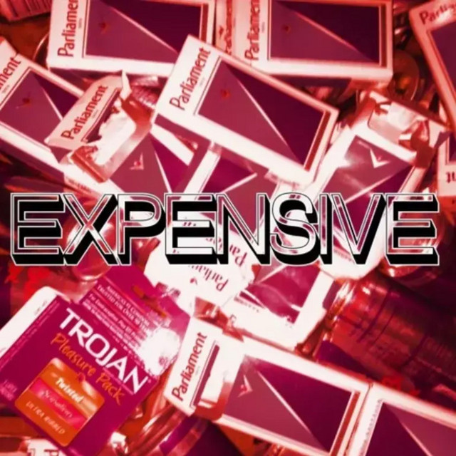 Ayesha Erotica — Expensive cover artwork