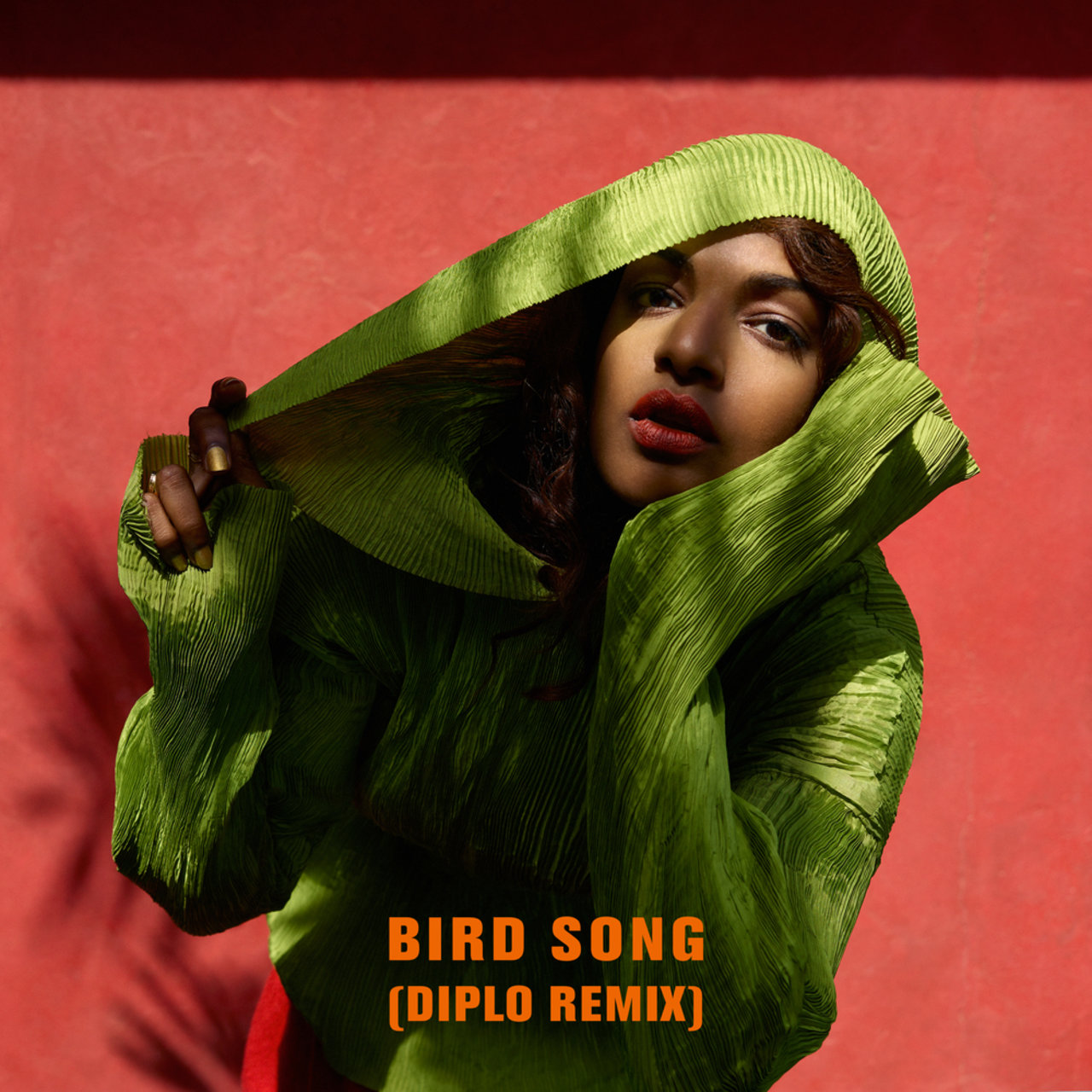 M.I.A. Bird Song (Diplo Remix) cover artwork