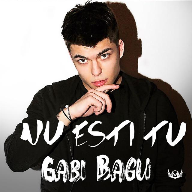 Gabi Bagu — Nu Esti Tu cover artwork