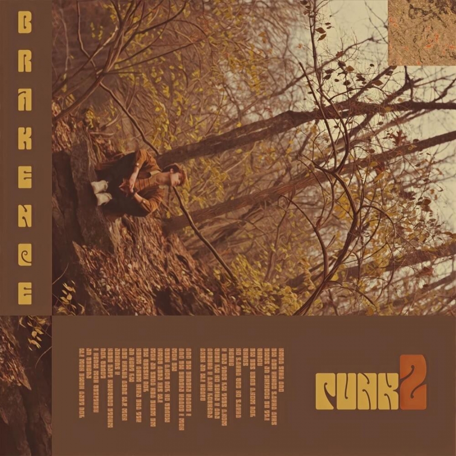brakence punk2 (w/ sauce) cover artwork