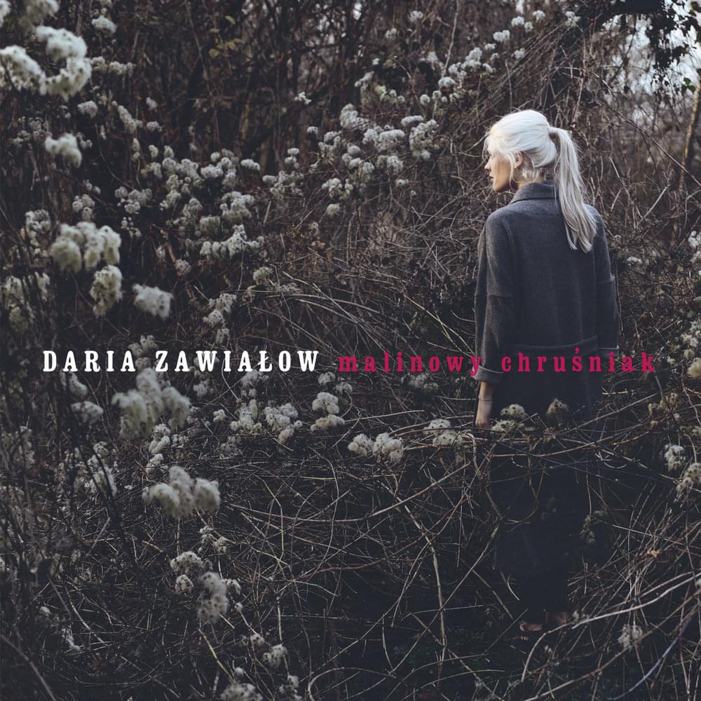 Daria Zawiałow — Malinowy Chruśniak cover artwork