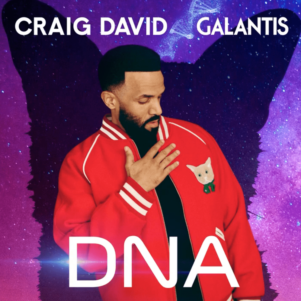 Craig David & Galantis DNA cover artwork