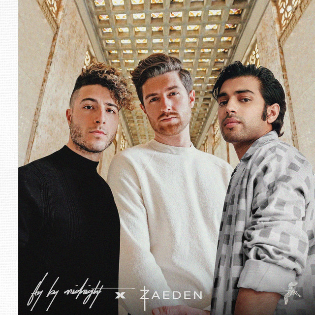 Fly By Midnight & Zaeden — Settle Down cover artwork