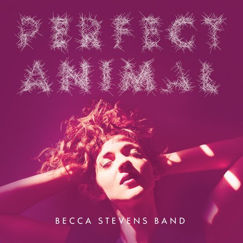 Becca Stevens Band — 105 cover artwork