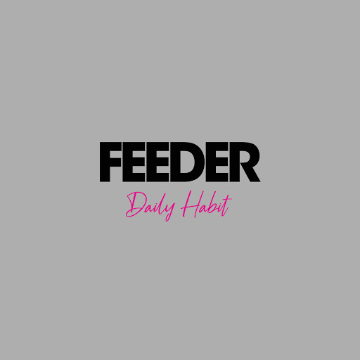 Feeder — Daily Habit cover artwork