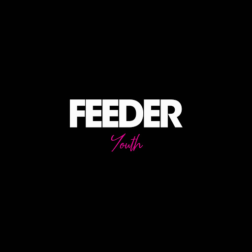 Feeder — Youth cover artwork