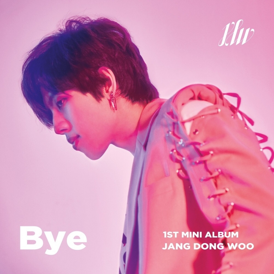 Jang Dong Woo Bye cover artwork
