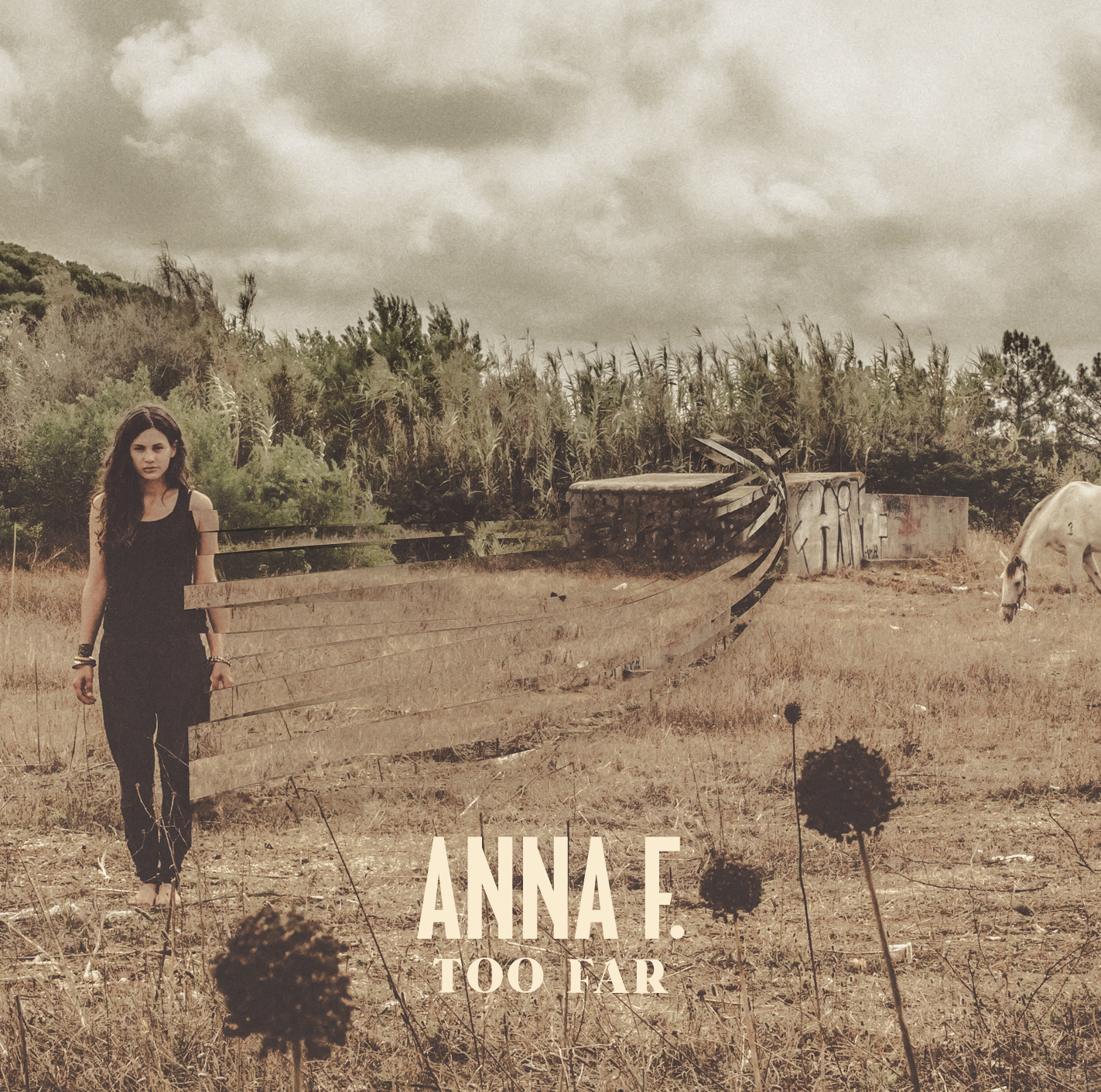 Anna F. — Too Far cover artwork
