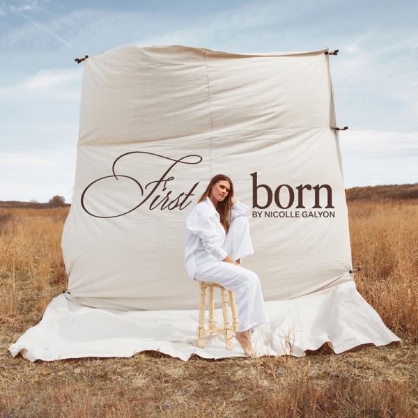 Nicolle Galyon — winner. cover artwork
