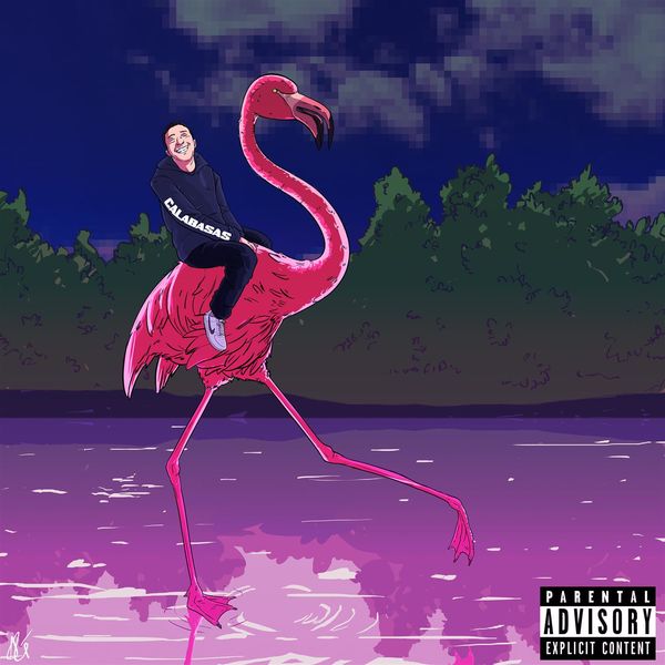 Token — Flamingo cover artwork