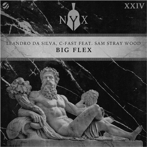 Leandro Da Silva & C-Fast featuring Sam Stray Wood — Big Flex cover artwork