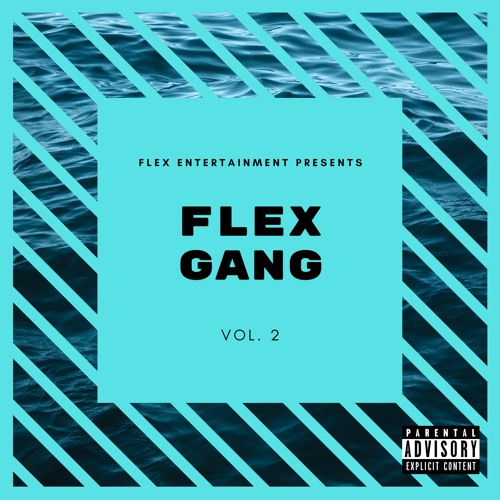 Flex Entertainment Flex Gang, Vol 2 cover artwork