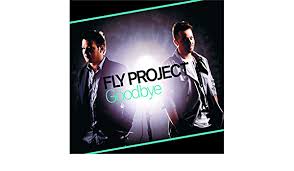 Fly Project Goodbye cover artwork
