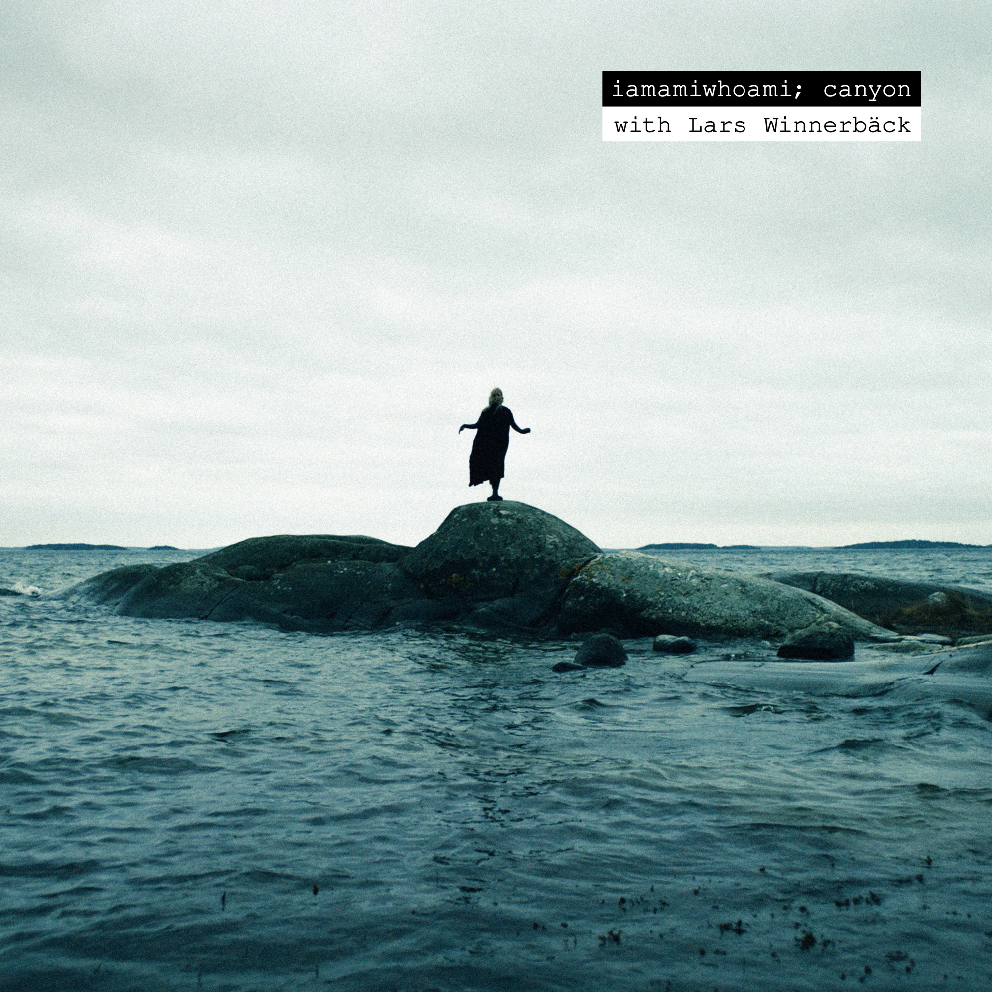iamamiwhoami & ionnalee ft. featuring Lars Winnerbäck Canyon cover artwork