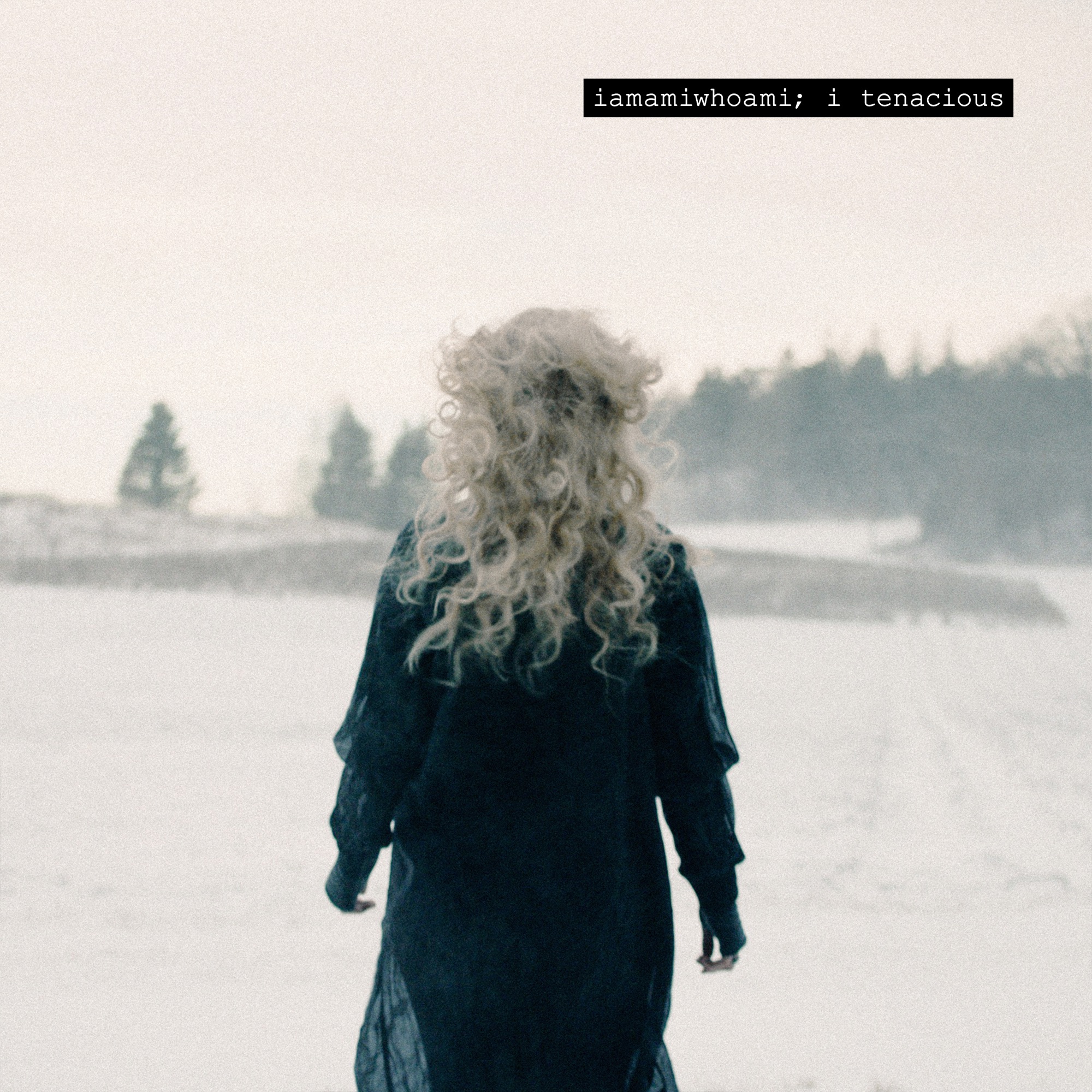 iamamiwhoami & ionnalee — i tenacious cover artwork