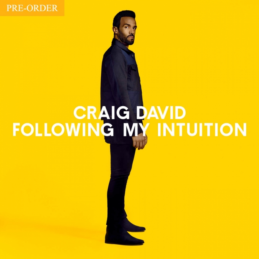Craig David — Don&#039;t Go cover artwork