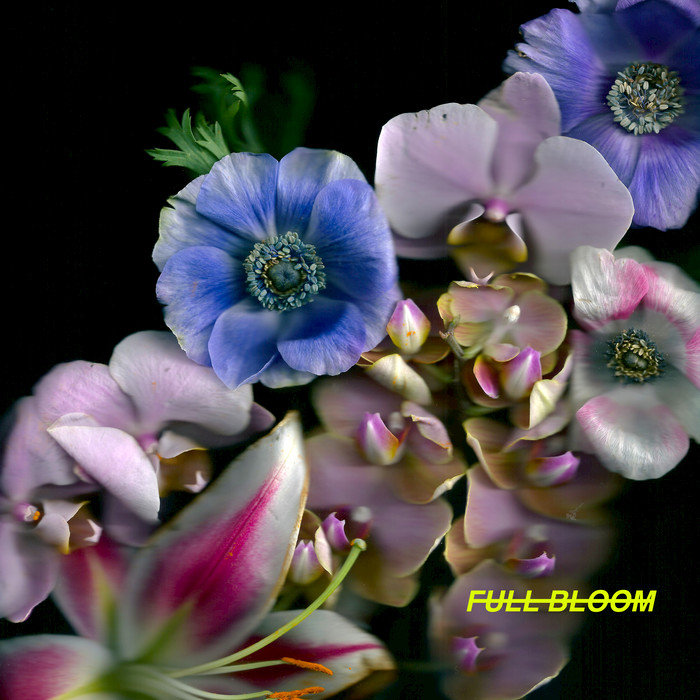 Alpines — Full Bloom cover artwork