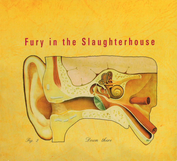 Fury In The Slaughterhouse — Down There cover artwork
