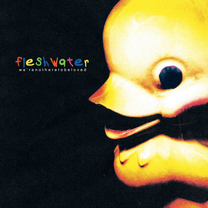 Fleshwater We&#039;re Not Here To Be Loved cover artwork