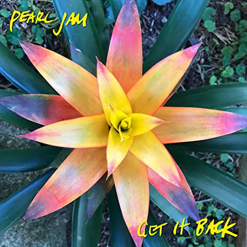 Pearl Jam Get it Back cover artwork