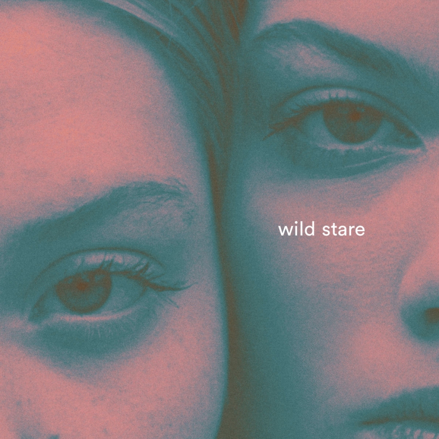 Giant Rooks — Wild Stare cover artwork