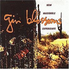 Gin Blossoms New Miserable Experience cover artwork