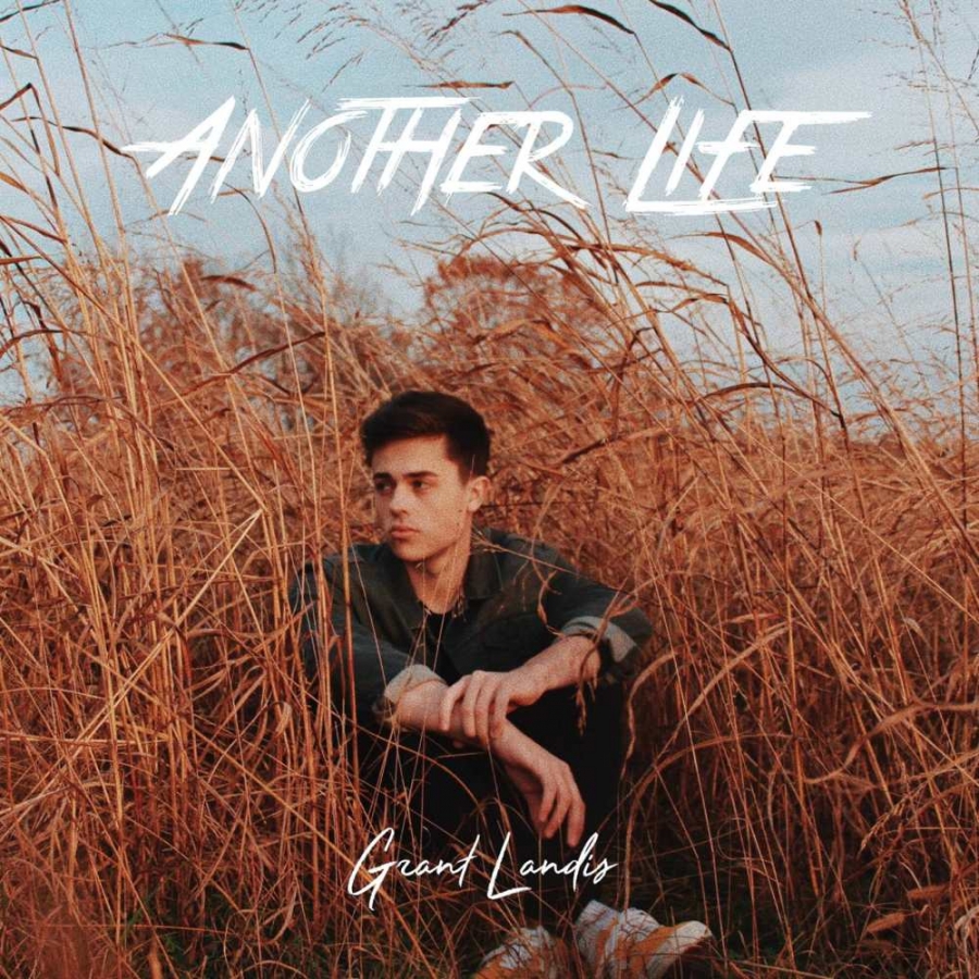 Grant Landis — Another Life cover artwork