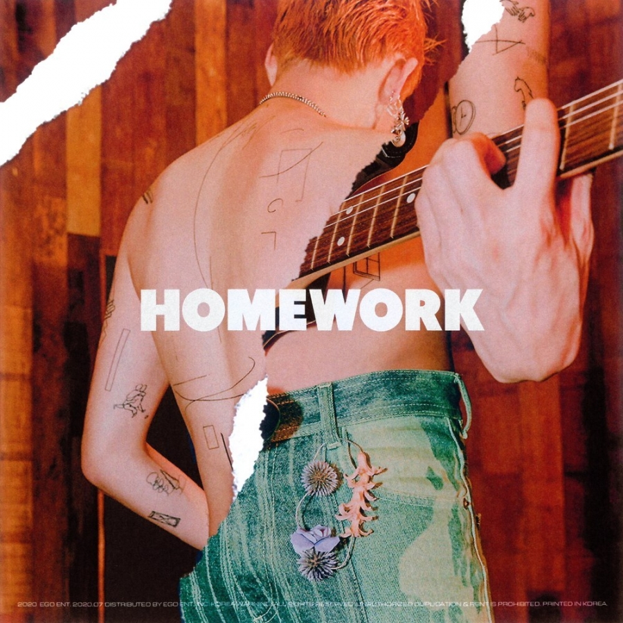 Grizzly — Homework cover artwork