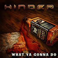 Hinder What Ya Gonna Do cover artwork